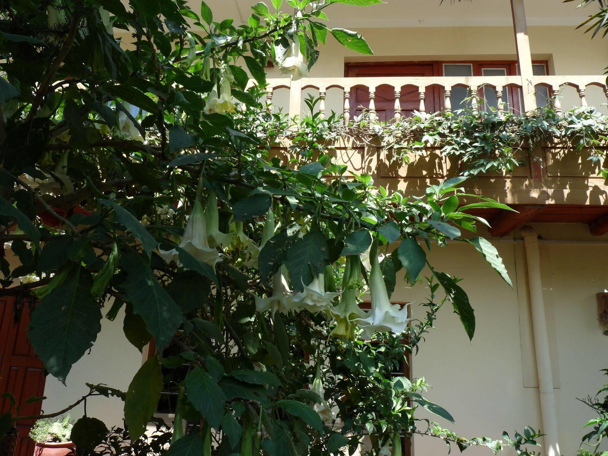 Kukuli Lodge B&B Cusco Exteriör bild